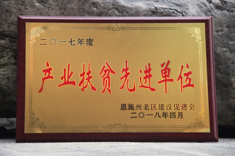 產(chǎn)業(yè)扶貧.先進單位.jpg