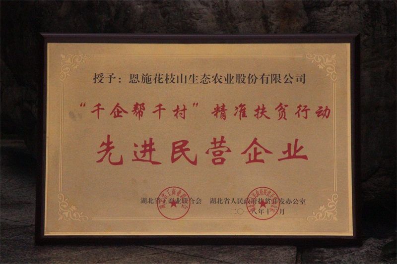 5-千企幫千村先進企業(yè).jpg